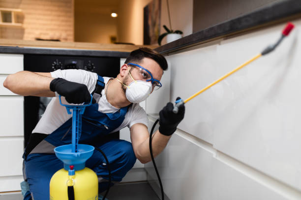 Best Affordable Pest Control Services  in Unionville, TN