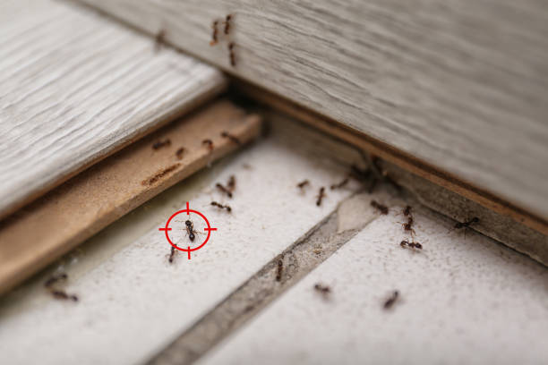 Best Exterminator Services  in Unionville, TN
