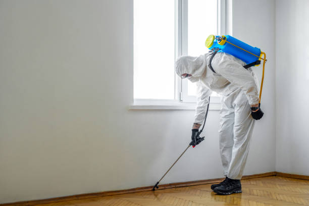 Best Insect Control  in Unionville, TN