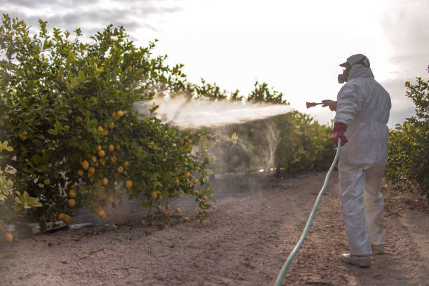 Best Emergency Pest Control  in Unionville, TN