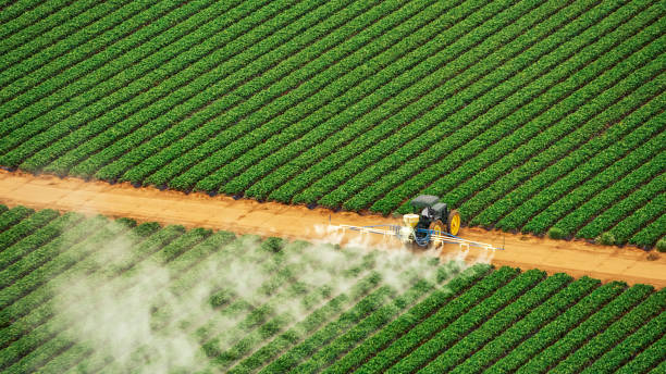 Insect Control in Unionville, TN