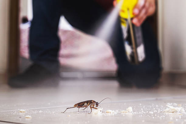 Best Flea Control Services  in Unionville, TN
