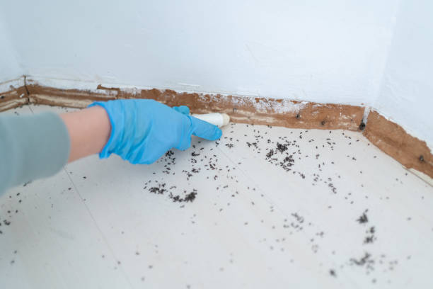 Reliable Unionville, TN Pest Control Solutions